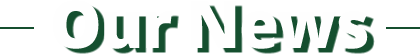 Our News Logo