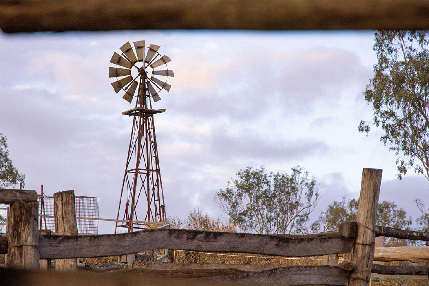 Lei’Lani Hrubizna, Booubyjan, Queensland - Unordinary perspectives.