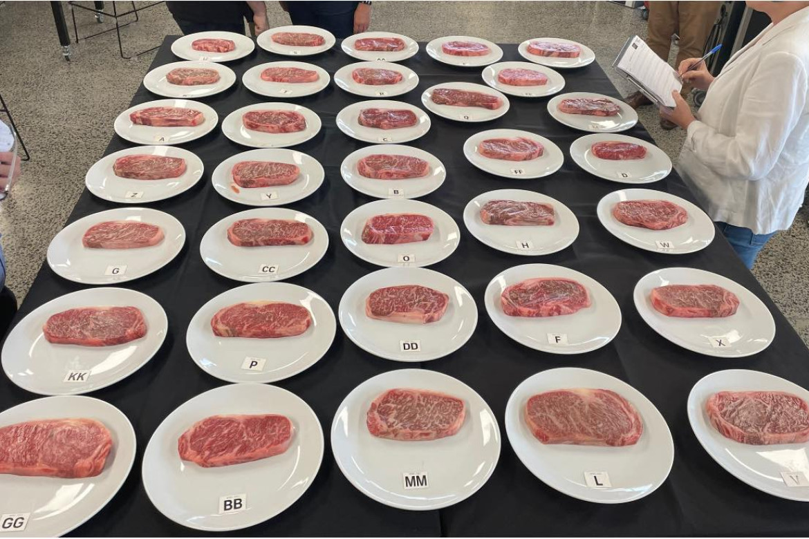 Producers win gold in Wagyu Branded Beef competition - feature photo