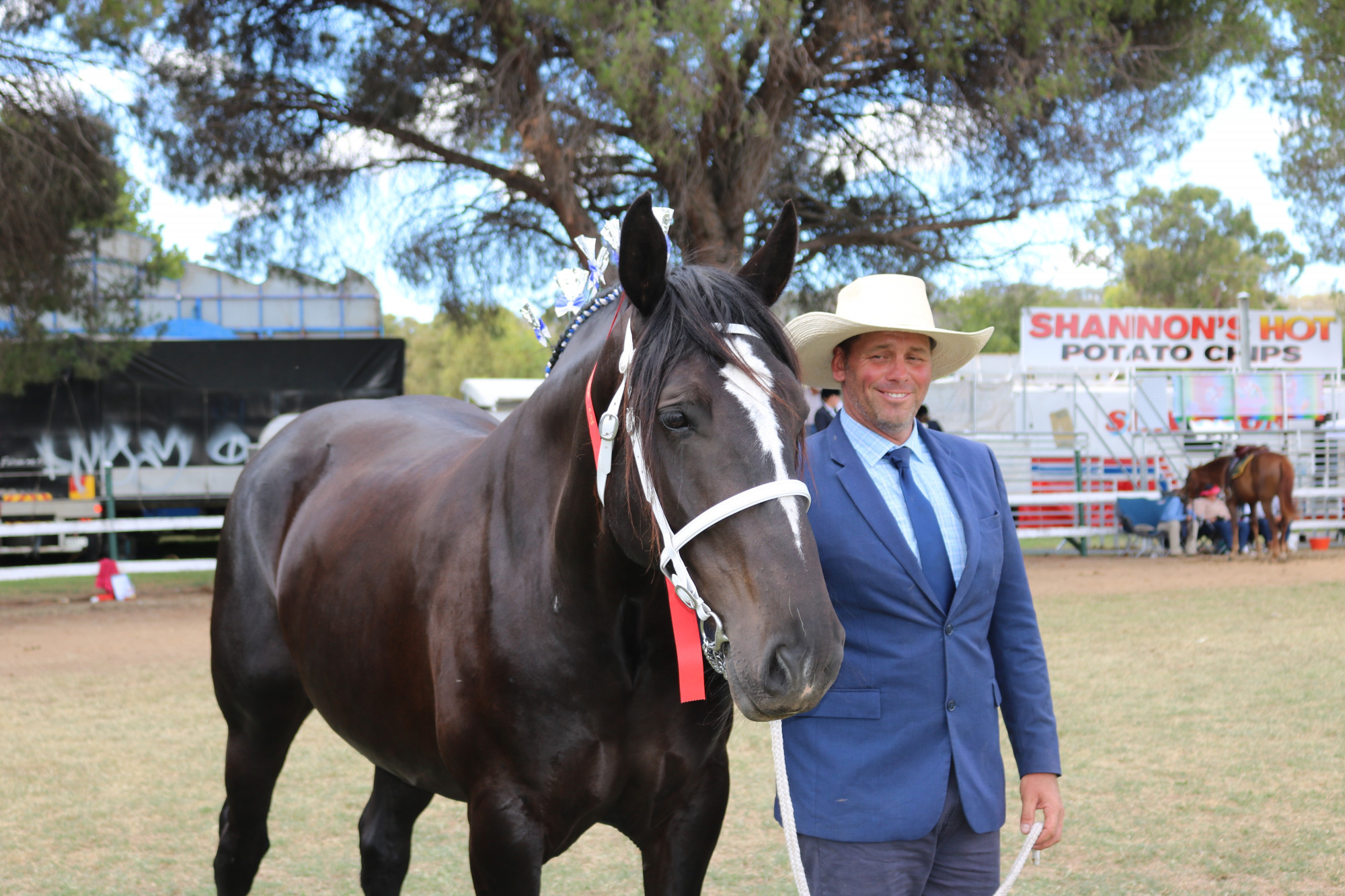 Clint Kenny, an organiser of the Darling Downs Heavy Horse Festival, with one of his prized Percherons at the Allora Show in 2019.