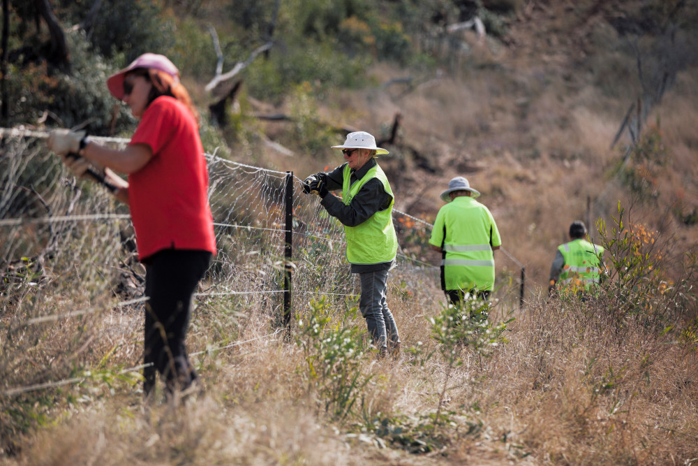 Warwick farmers repair bushﬁre damaged fencing with Rural Aid’s help - feature photo