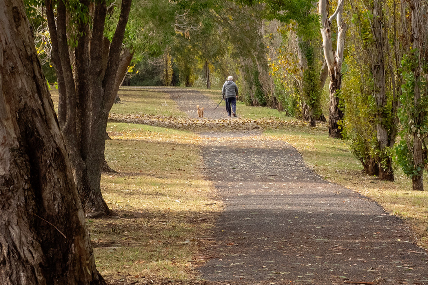 Walking plan for Allora - feature photo