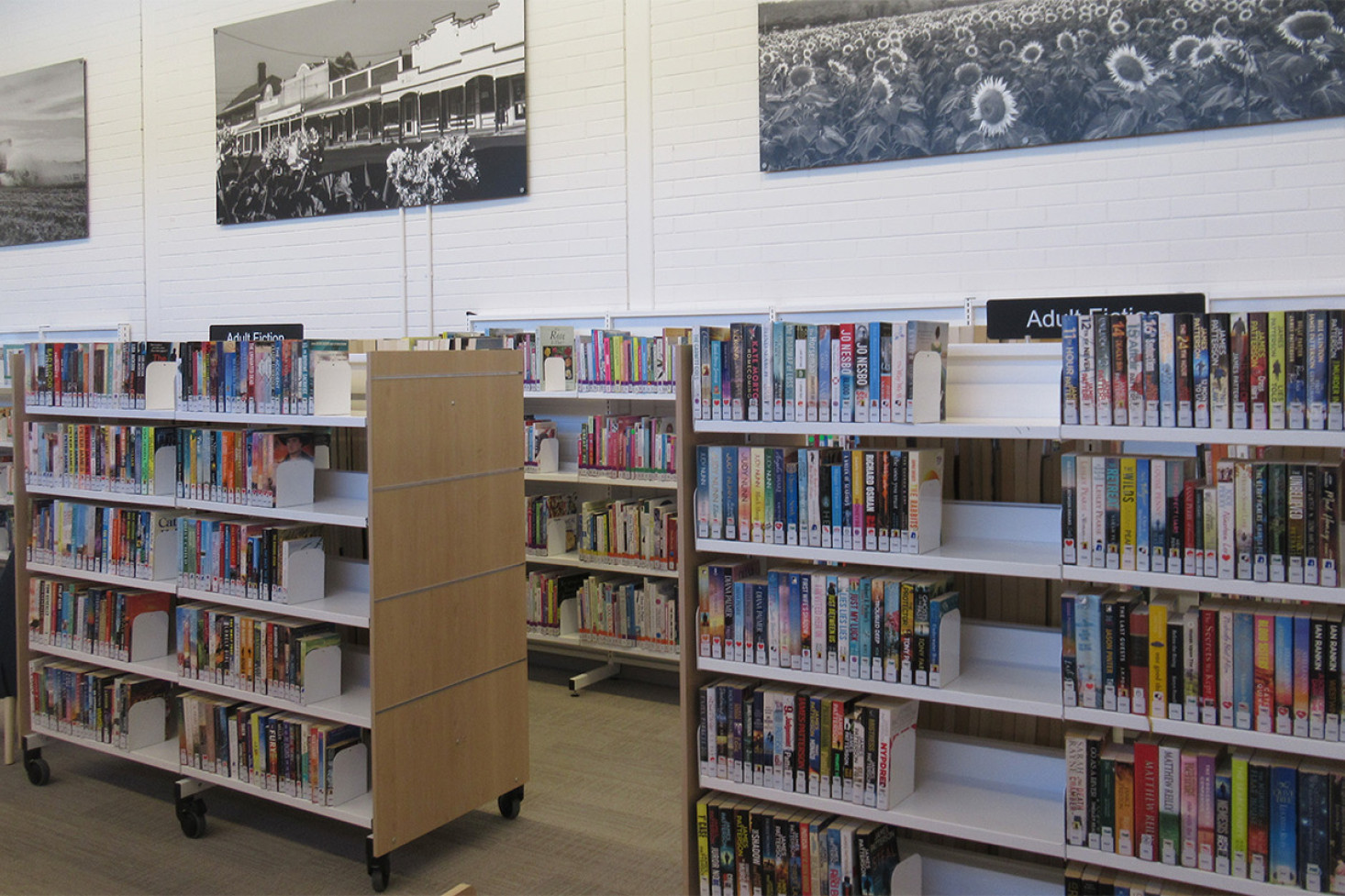 Allora Library re-opens - feature photo