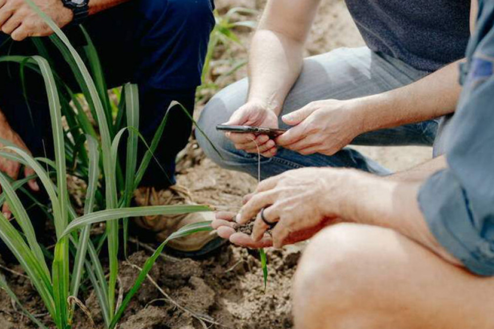 Help shape the AgTech Roadmap - feature photo