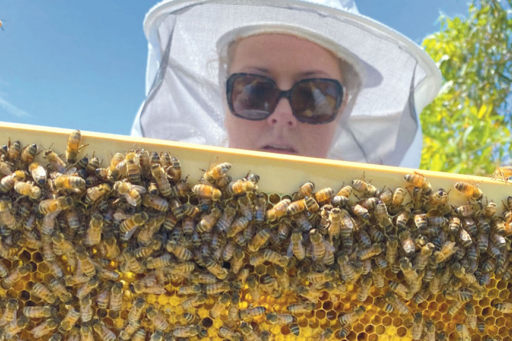 When it comes to bees you should leave it to the professionals, such as Westbrook’s Alicia Vohland.