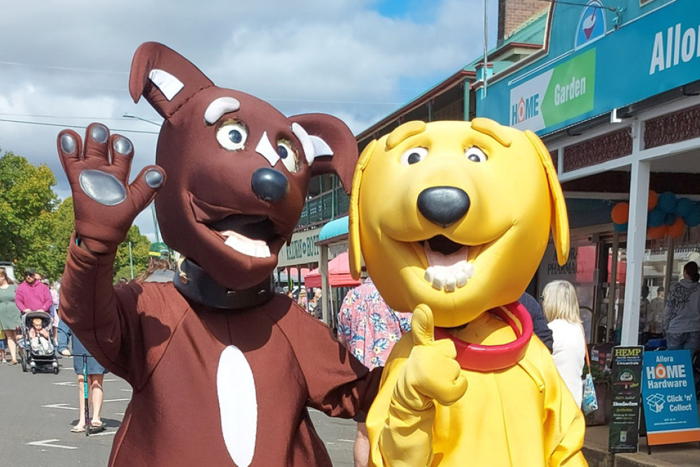 Rusty and Sandy having fun with the crowds at the Allora Autumn Festival on Sunday.