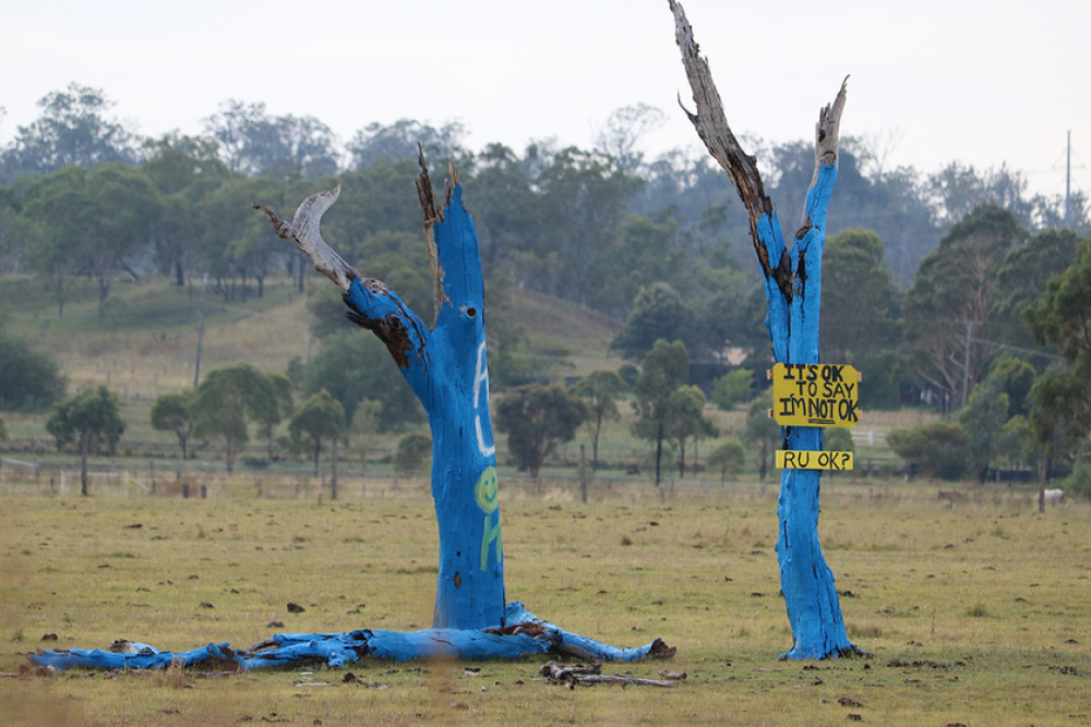 Keep an eye out on for the Blue Tree on the eastern side of the New England Highway at Cambooya.