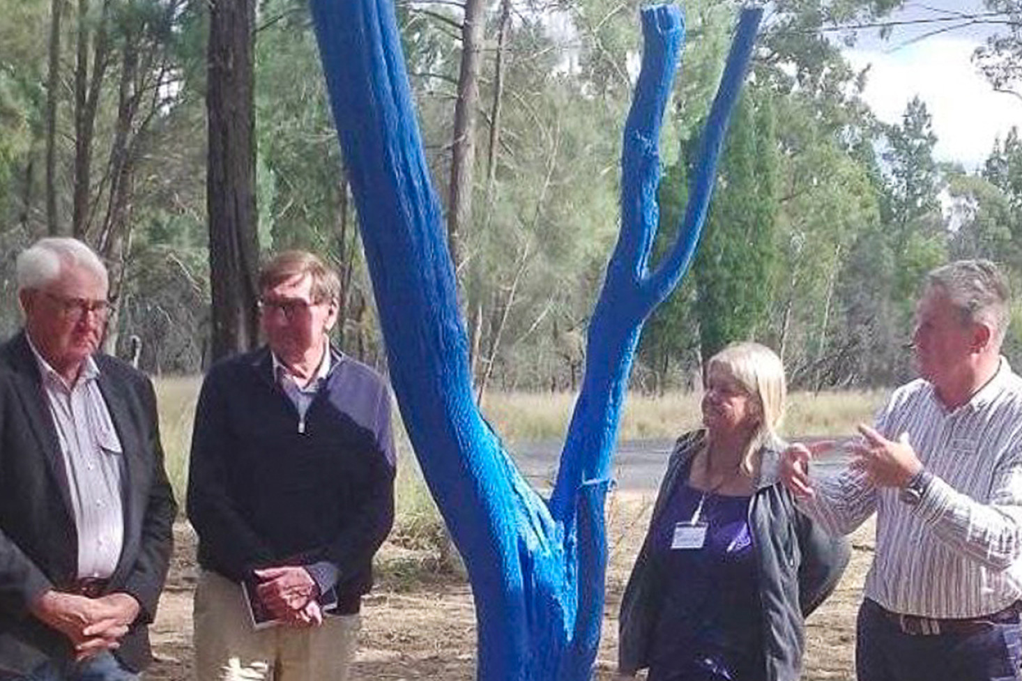 Volunteers painted their own Blue Tree in Pittsworth recently, as part of the Blue Tree Project for mental health awareness. It is located on the Clifton Road, just inside the fenceline of the Golf Course.