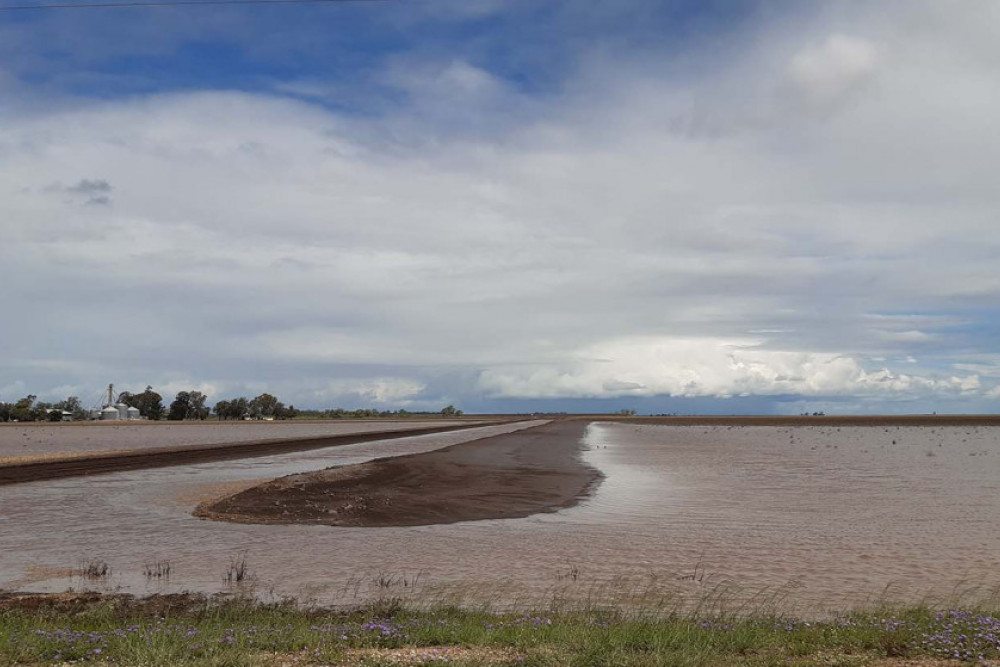 These paddocks north of Brookstead have been inundated following the recent rain we have received.
