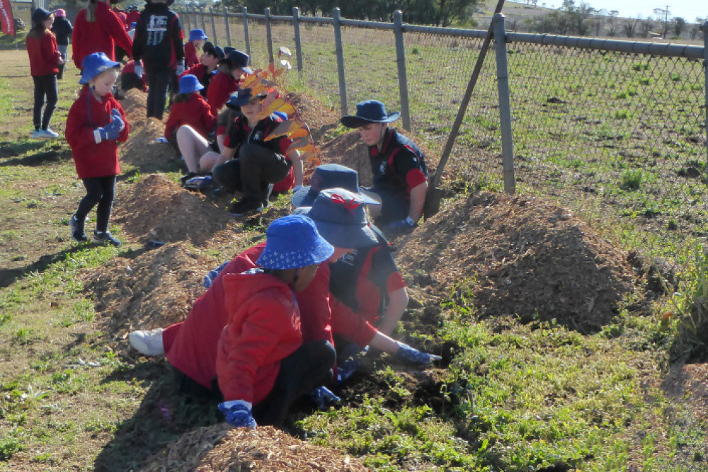 Bunker's Hill students plant for the future - feature photo