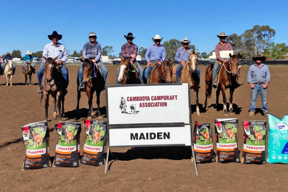 Sam Campbell of Goomburra (on the right most horse) took out the Frank Allport Memorial Maiden Campdraft on the back of Miss Kitty Moore.