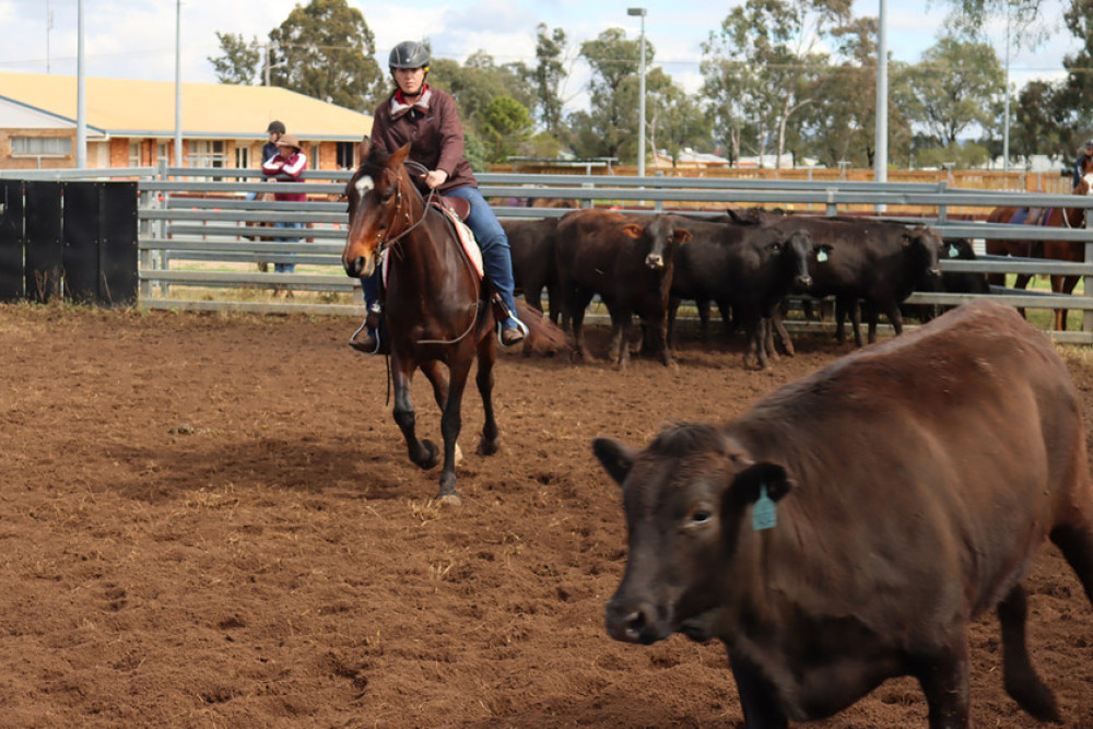 Volunteers worked hard to have the arena ready for the Cambooya Campdraft in August this year.