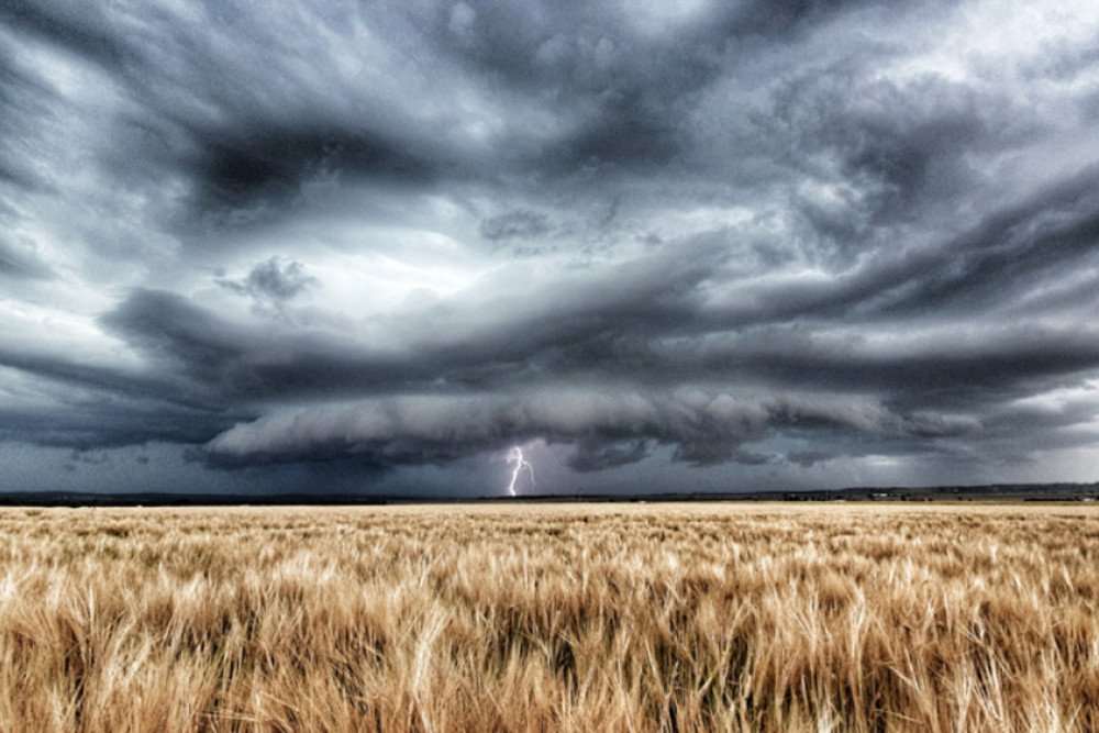 Summer Storm and Harvest Time