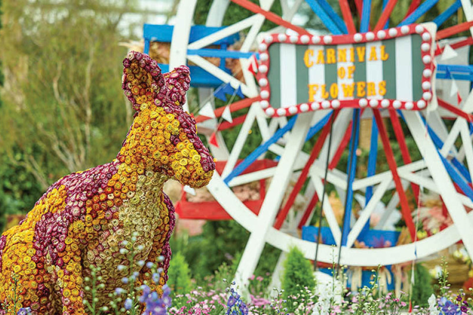 Carnival of Flowers reaches Singapore - feature photo