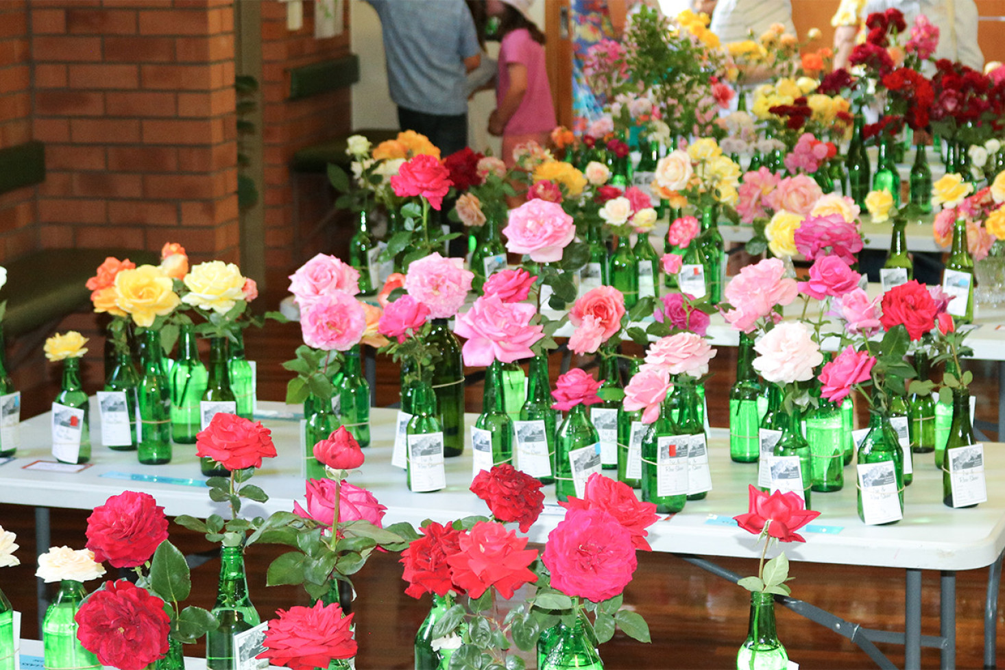 Colourful entries in last year’s Iris and Rose Show.