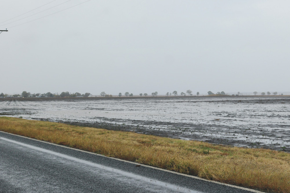 After heavy rainfall overnight, John Weidman’s bare paddock just north of town was suitably drenched.