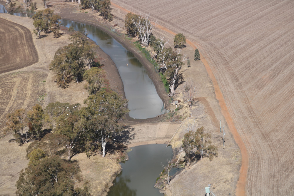 More grants for Murray–Darling rivers and wetlands - feature photo