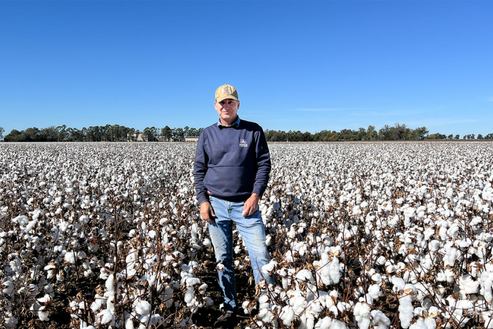 Top of the crops - feature photo