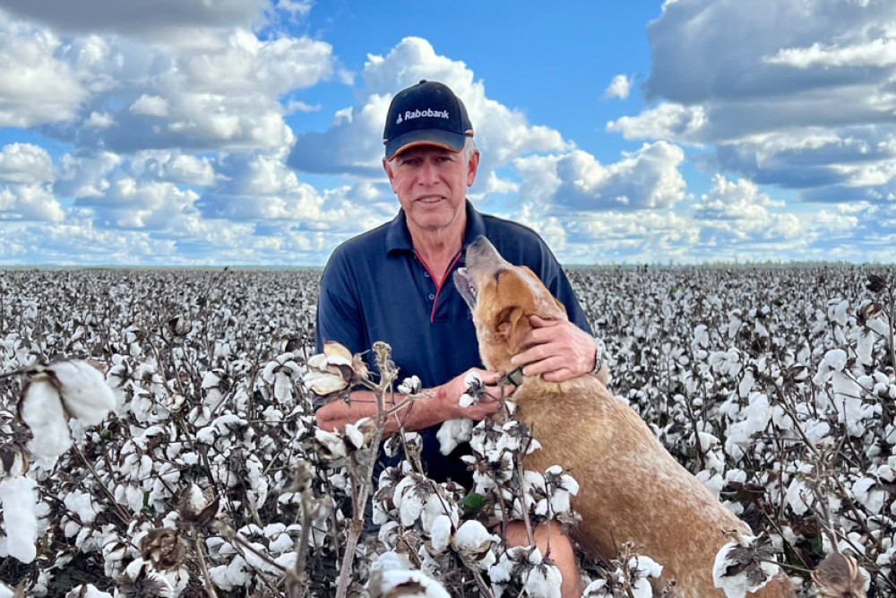 Let the picking begin - feature photo