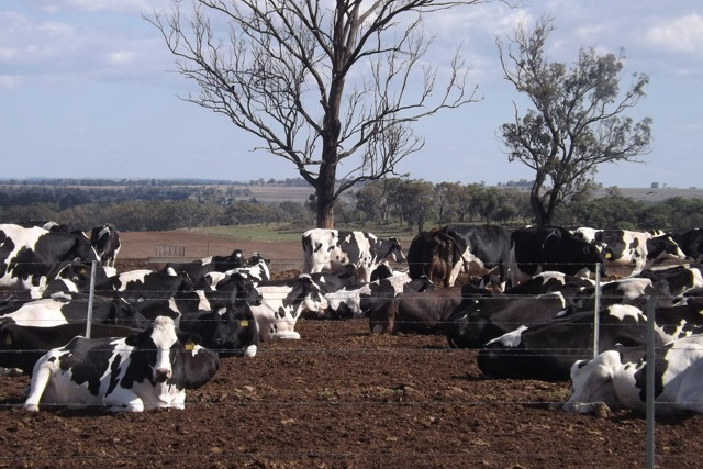 Southbrook workshop on new dairy tech - feature photo