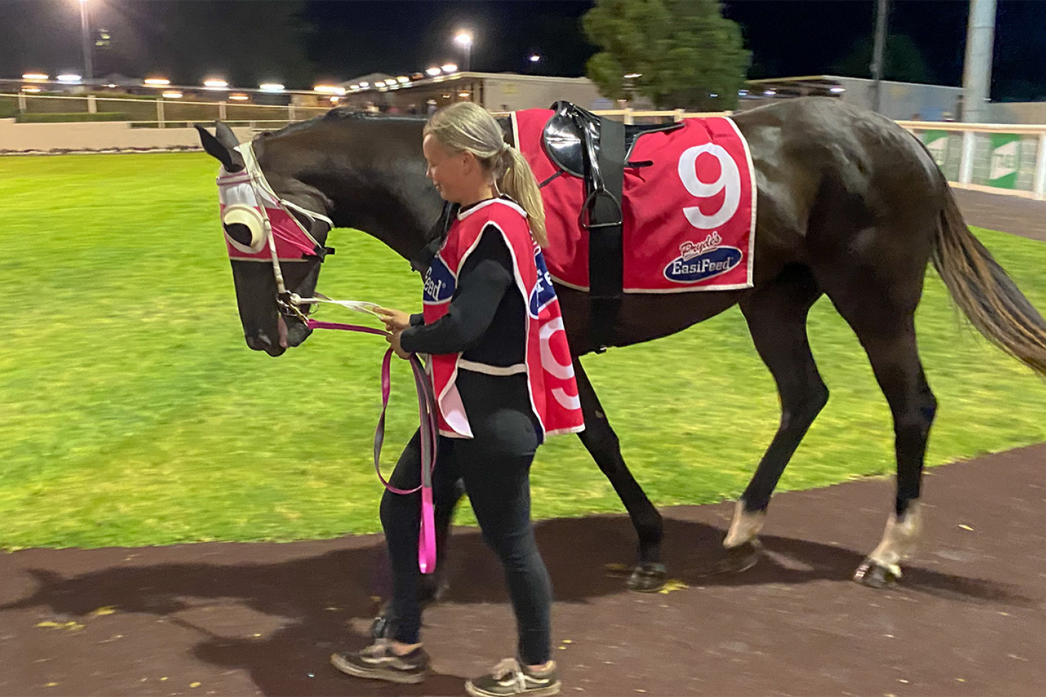 A horse raised on the Downs and raced at Toowoomba.