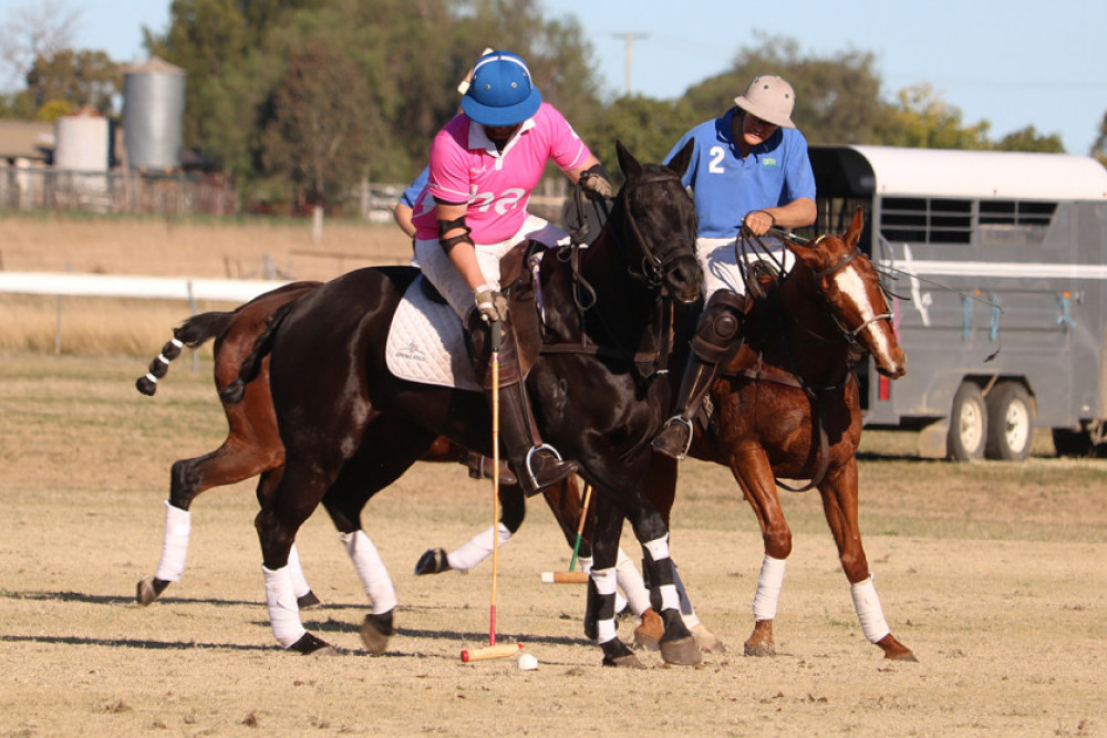 Downs Polo Carnival this weekend - feature photo