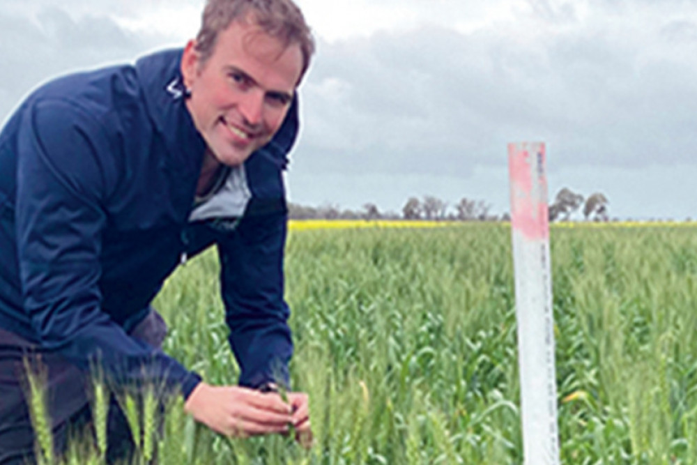 FAR Australia’s Dr Kenton Porker is leading a project looking into mitigating frost risk.