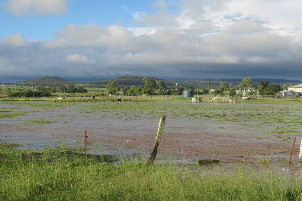 Waterlogged paddocks in East Greenmount near the Wheatsheaf Hotel show the aftermath of the downpour.