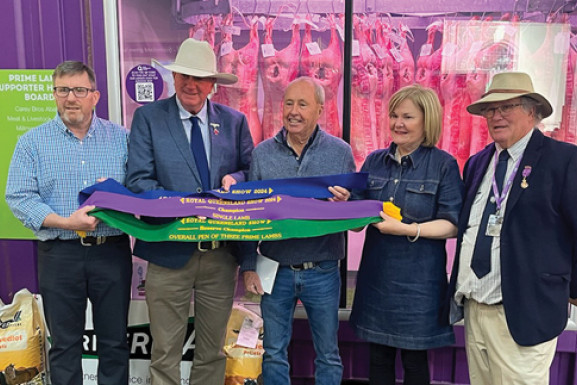 Presenting the 2024 EKKA Champion Single Lamb, Overall Reserve Champion Pen of Three Lambs and First, Pen of Three Restaurant Trade Lambs to Bellevue Grazing Company, Millmerran for their pasture raised Dorper lambs were (from left) sponsor Mark Carey (Carey Bros Abattoir, Yangan), carcass judge Pat McMahon (McMahon Bros., Killarney), David and Robbie Curtis (Bellevue Grazing Company, Millmerran) and Steward Peter Hood of Pittsworth.