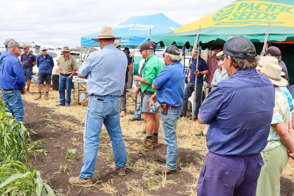 A good roll up of farmers attended the Field day at the Mengel farm on the Clifton Felton Road.
