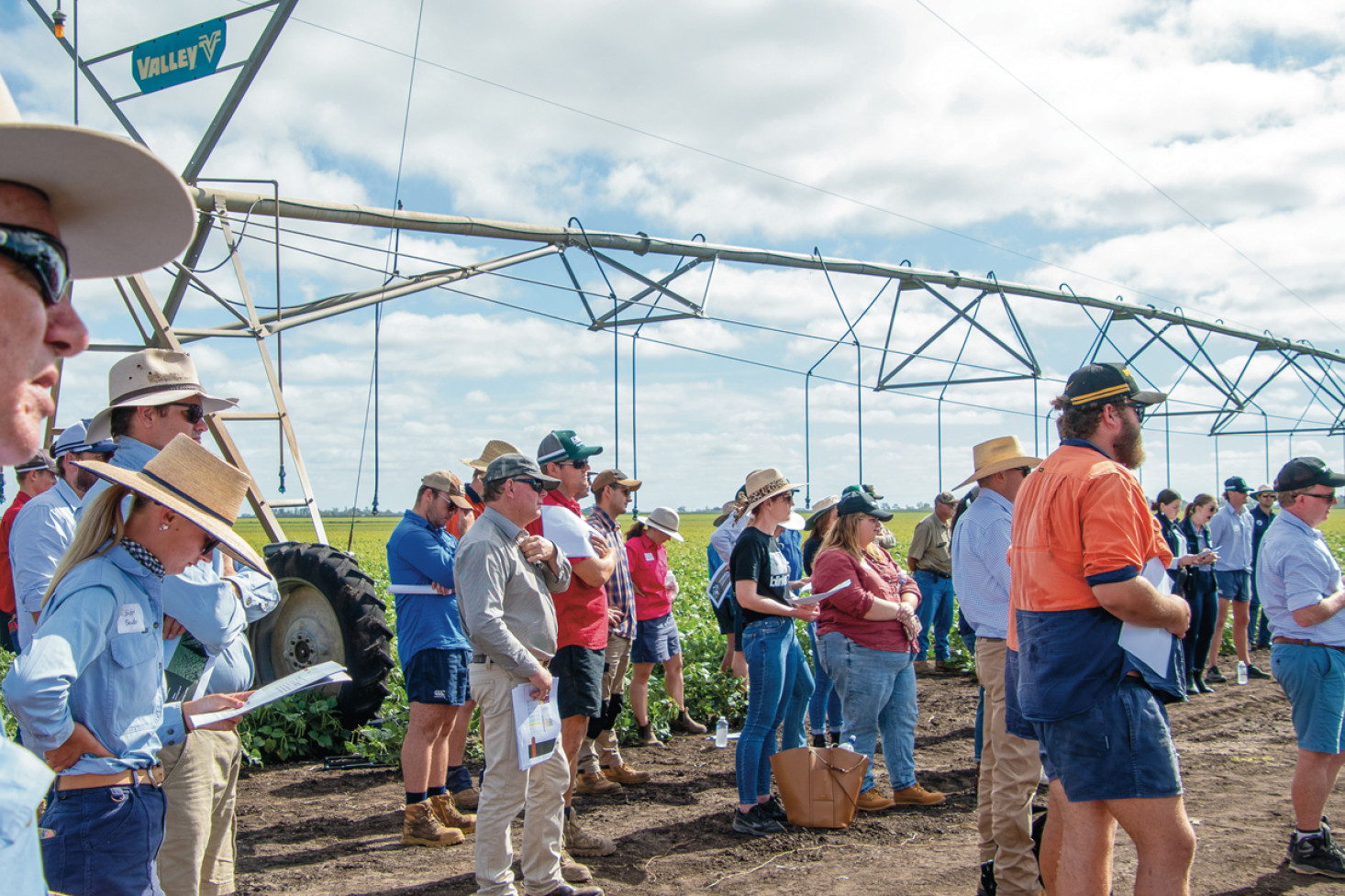Hundreds turned out to the 2024 Bayer Grower of the Year Field Day to share knowledge and experience about the cotton industry. Photo, Cotton Australia.