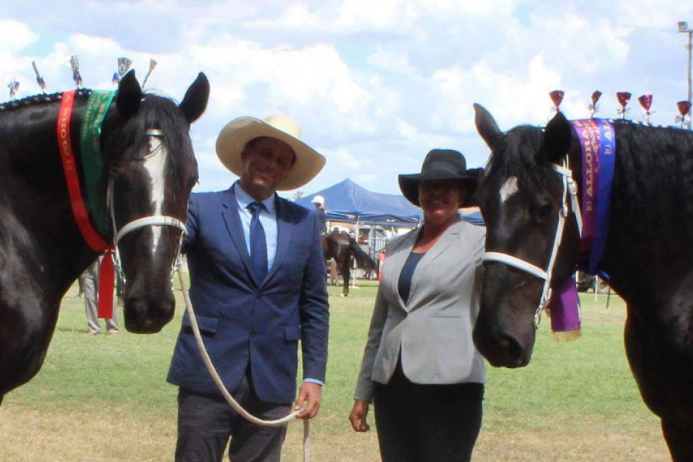 Clint Kenny and Kirsty McKenna with Percherons. (Photo Katy Driver)