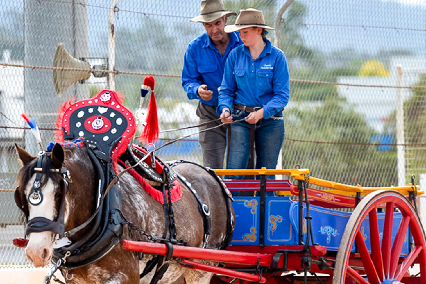 Some of the action from last year’s Gatton Heavy Horse Field Days.