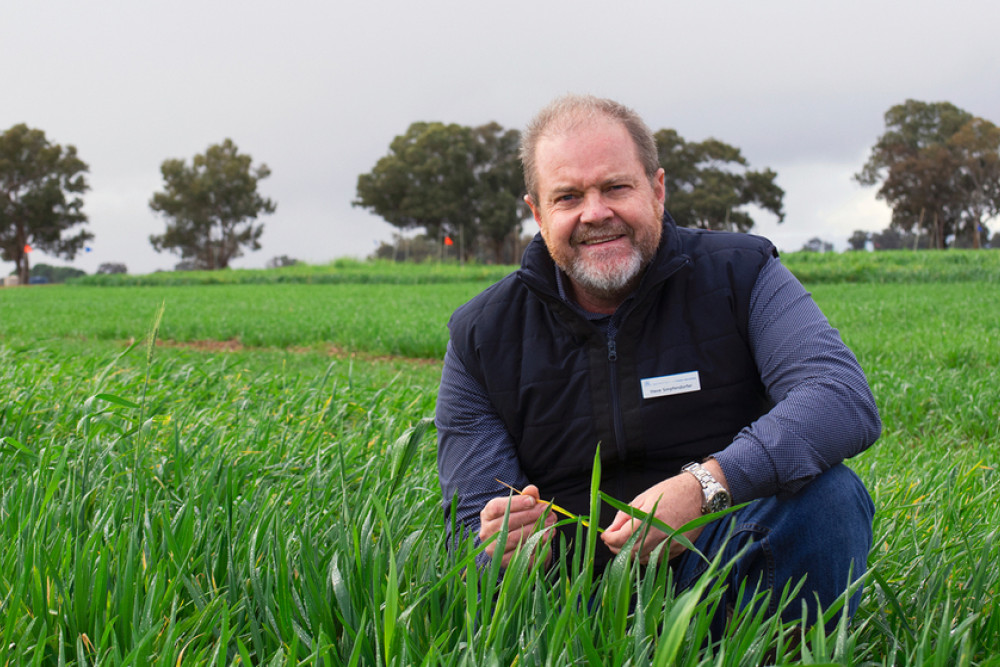 NSW DPI Senior Plant Pathologist, Dr Steven Simpfendorfer. Photo, GRDC