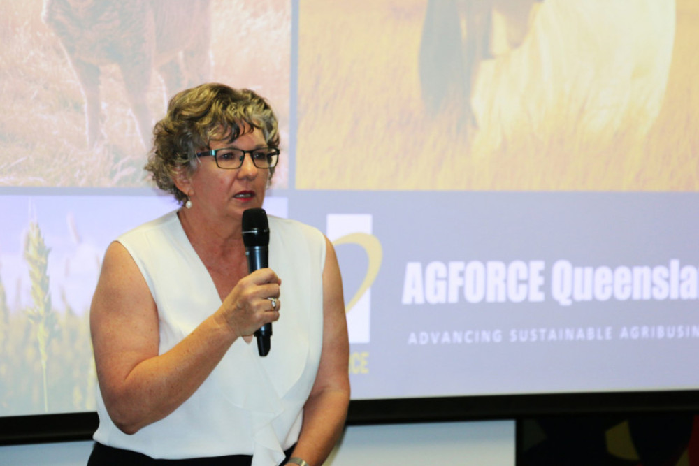 AgForce’s Georgie Somerset welcomed the programs for drought-affected producers featured in the Budget.