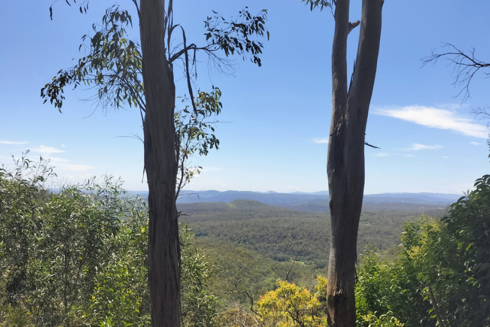 The stunning views overlooking Preston and Upper Flagstone, visible from Glen Lomond Park in Middle Ridge, will remain accessible to our four-legged friends, as will access to ten other parks in the Region.