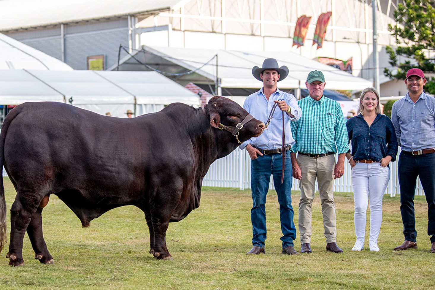 Glenalbyn Umpire 968 with from left, seller Jack Courts and new owners Scott Ferguson and Carly and Luke Baker.