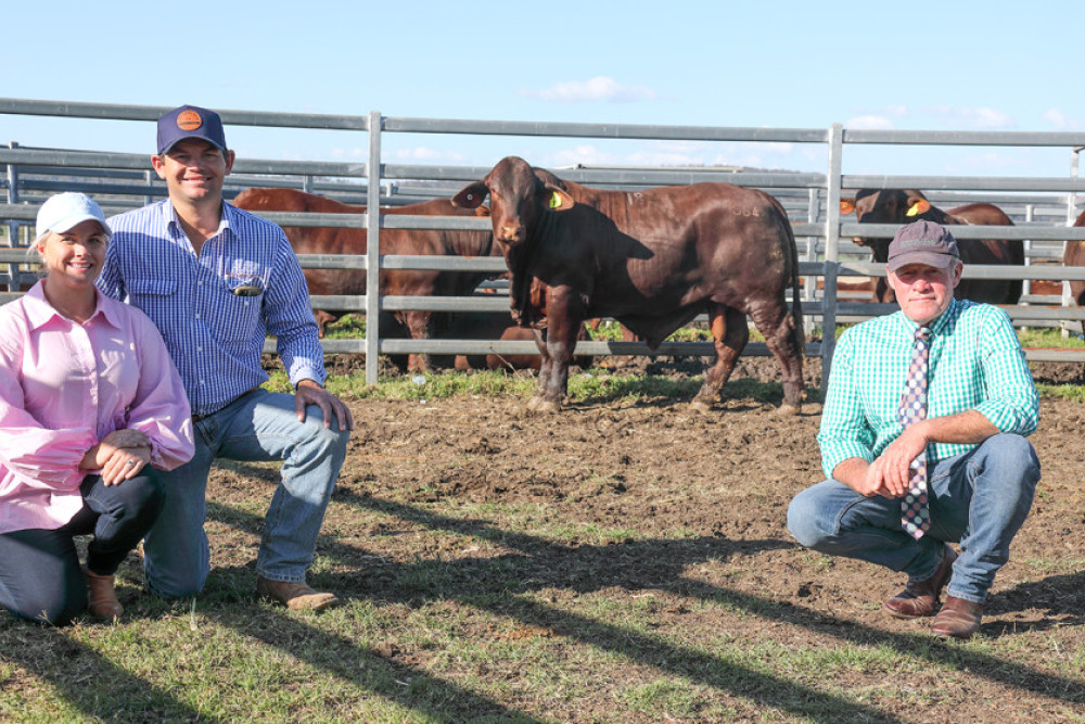 From left: new owners Carly and Luke Baker, Glenn Oaks Sterling S314 and Scott Ferguson. Photo, Kent Ward