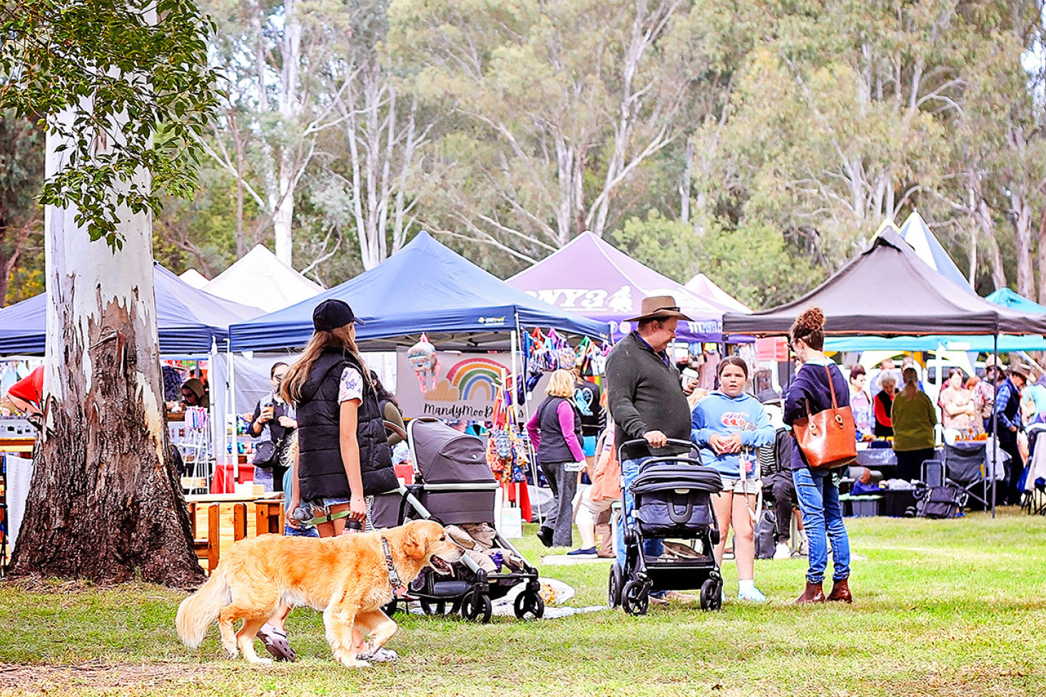 Another Successful Autumn Festival - feature photo