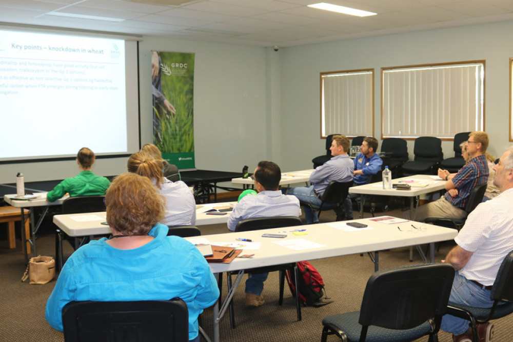 National Grower Network Forum held in Pittsworth - feature photo