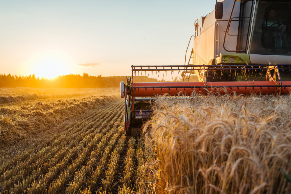 Rabobank estimates the nation will harvest 52.87 million tonnes of winter grains, oilseeds and pulses this season, which is 25 per cent above the five-year average.