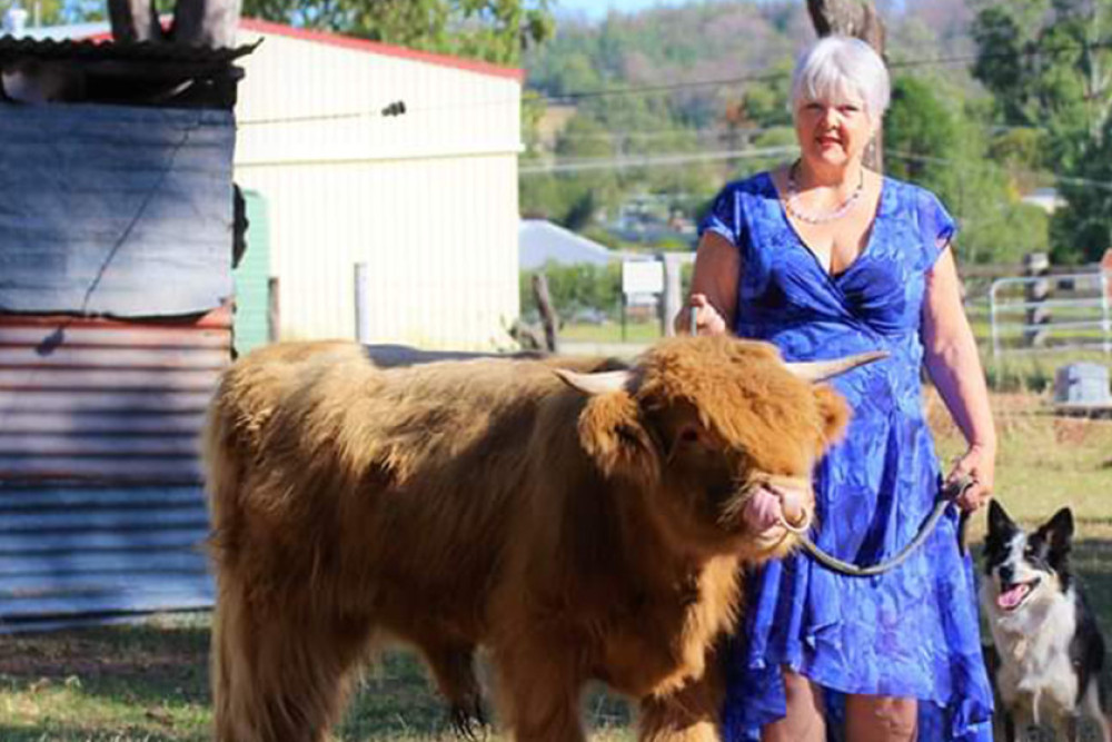 Carolyn Keans of Keans Agri Highland Stud Leyburn with one of the Highland cattle bred on the farm.