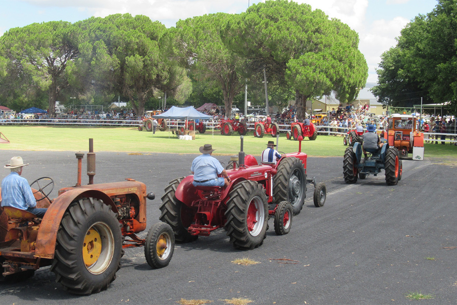 Known and supported Australia Wide: Allora Heritage Weekend - feature photo