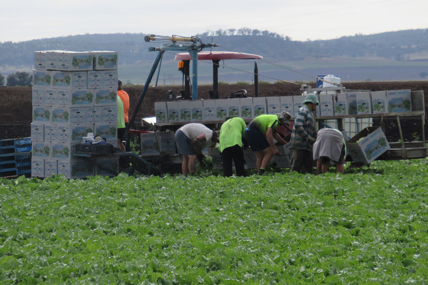 Farm workers are important to our farming region.