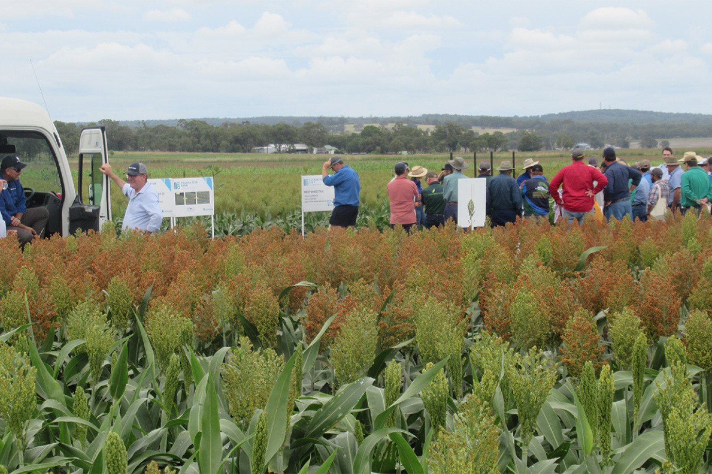 Foundation Farm Field Days At Allora - feature photo