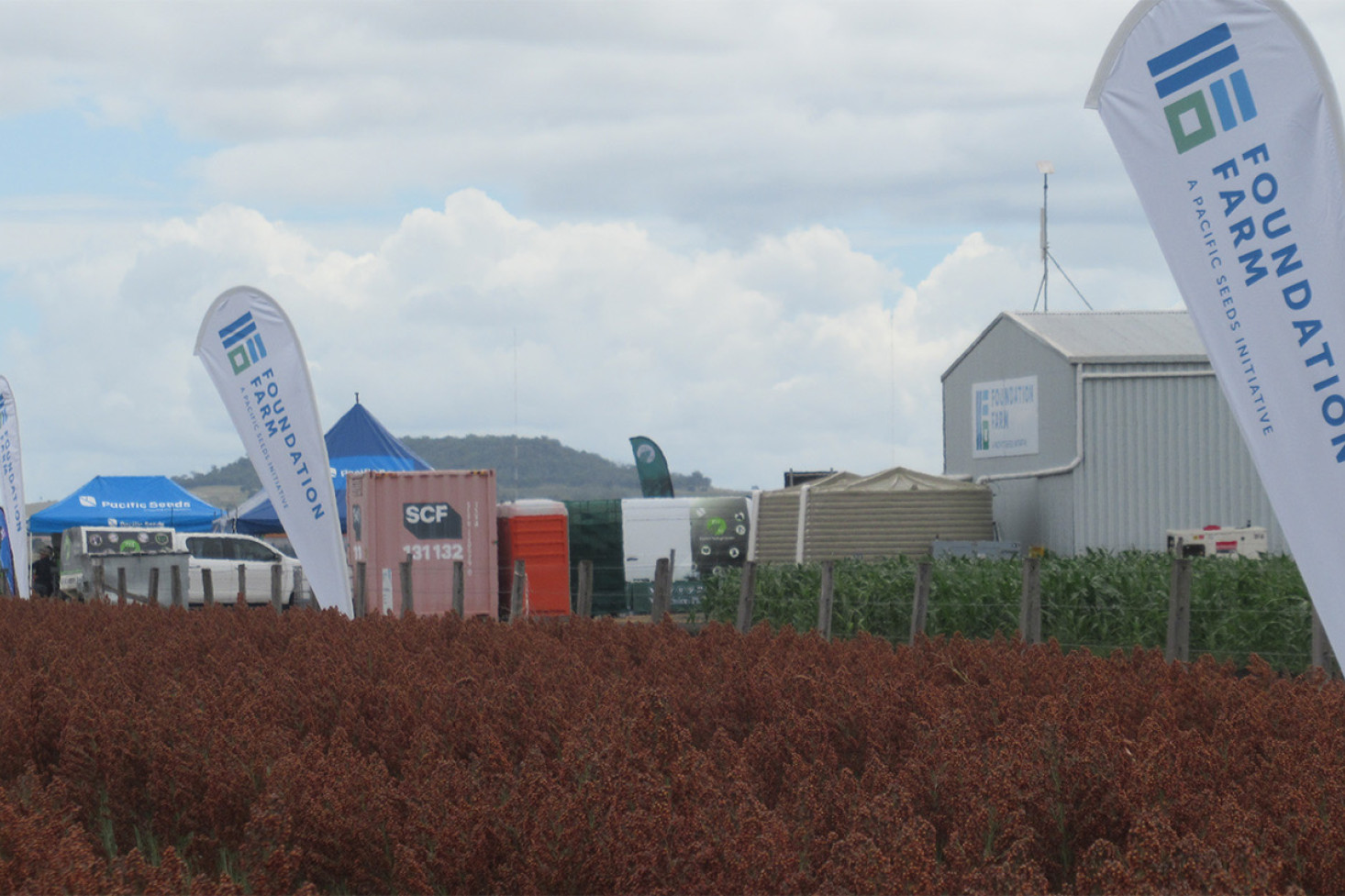 Weather looks promising for Foundation Farm Field Days - feature photo