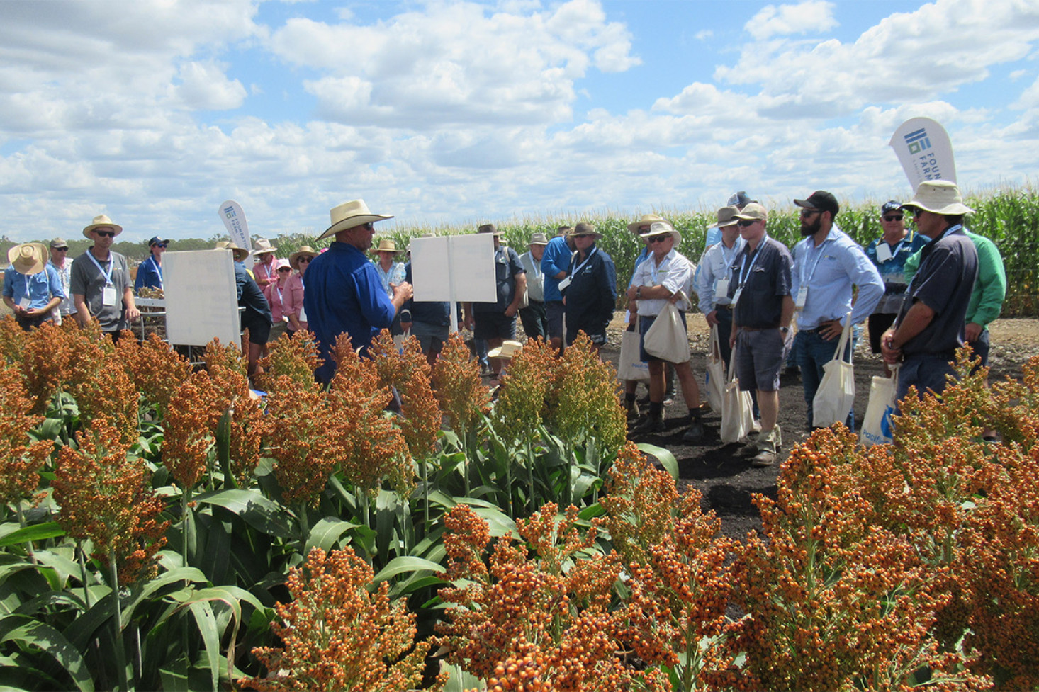 Keen Interest At Foundation Farm Field Days - feature photo