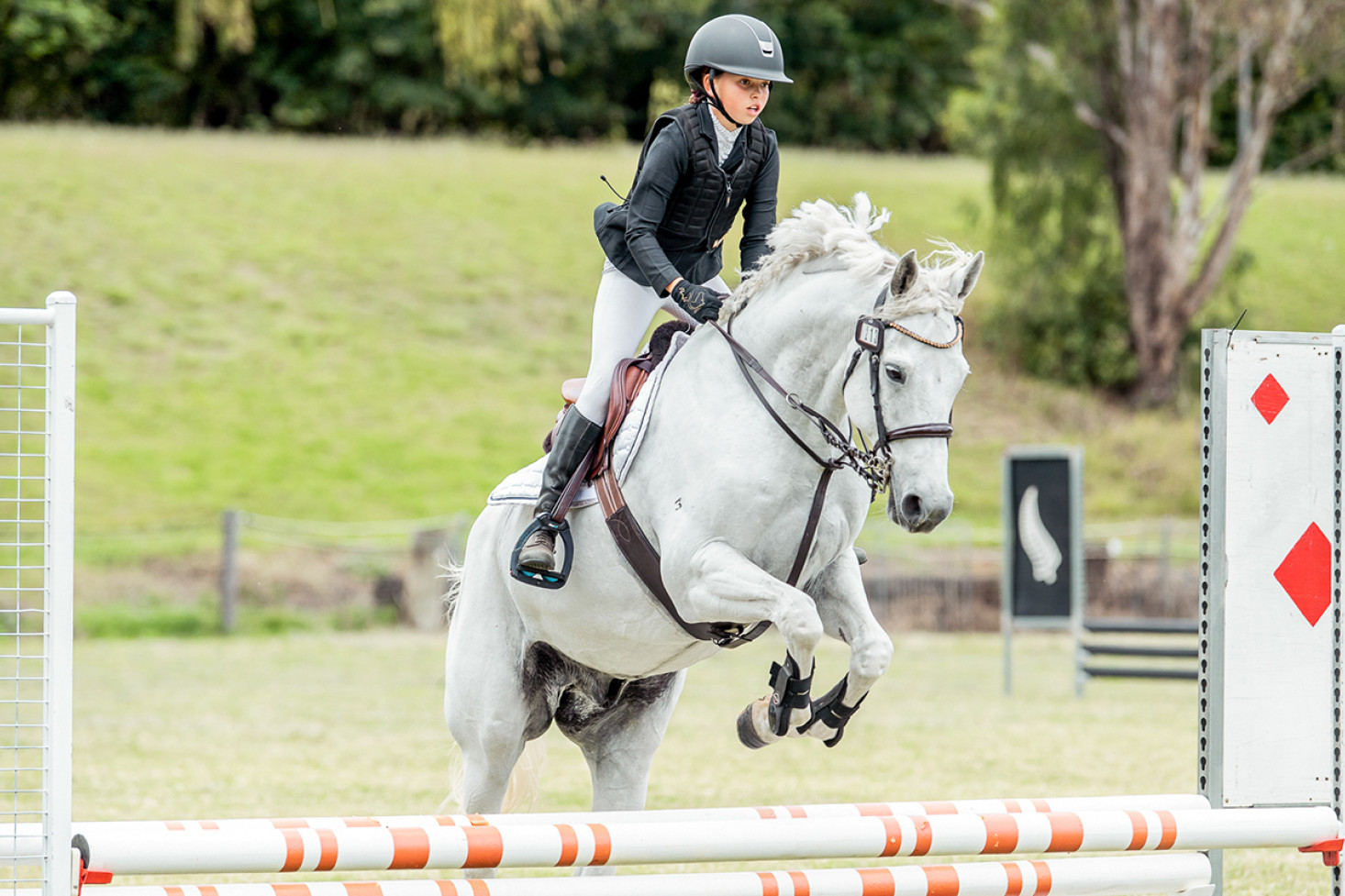 Twenty-one year Pedro, a Connemara/ thoroughbred cross, takes eleven year old Emu Creek State School student, Isabelle Gilmore, safely over a jump at the Combined Training event at the National Titles held recently at the Tamworth Equestrian centre where they achieved third place.