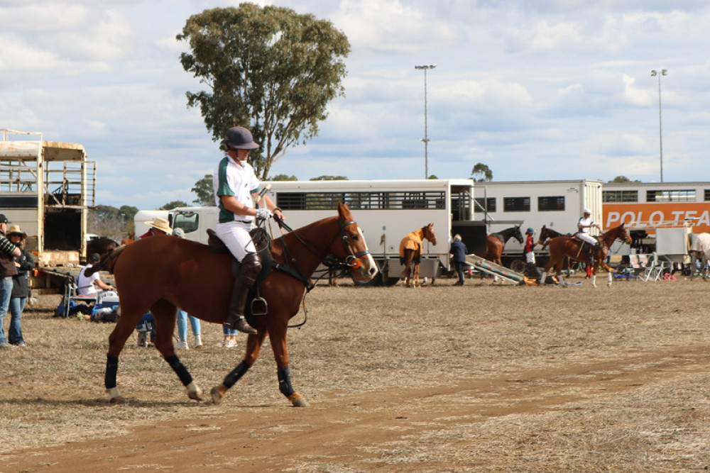 Successful Polo player Jack Mantova who started his career in Clifton.