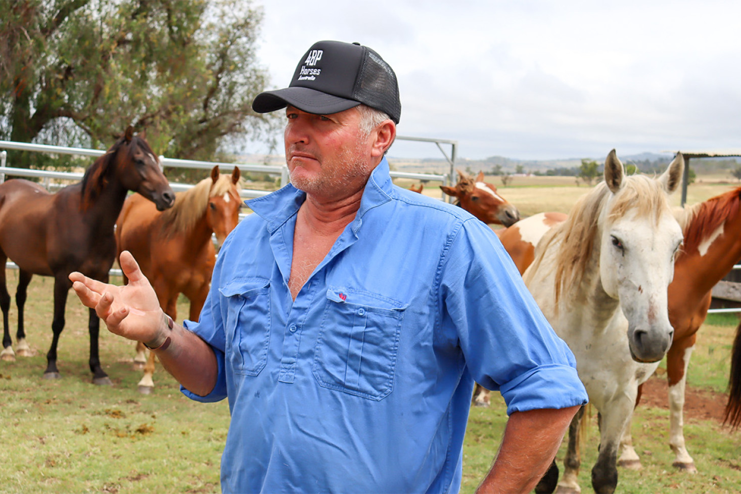 4BP horses is run by expert horseman Joe Hughes.